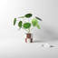 Caitlin Ceramic Pot Planter-84994630