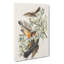 Thrush & Mountain Mocking Birds by John Audubon - Wrapped Canvas Painting-55361595