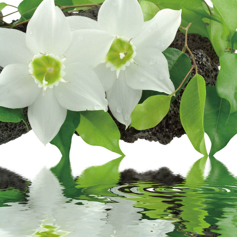 "Peaceful Reflections I" Tempered Glass Wall Art, 12" x 12"