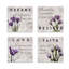 Mauve mauve, ensemble de 4 impressions sur toile tendue