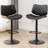 Odawa Swivel Adjustable Height Bar Stool-648063072