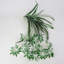 62 cm H Faux Plant