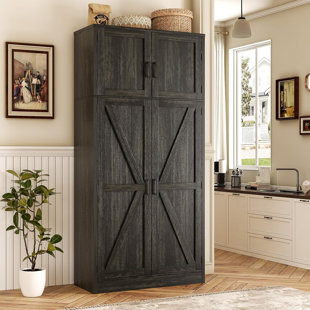 Armoire de rangement l 31,5 po avec porte et tablettes réglables
