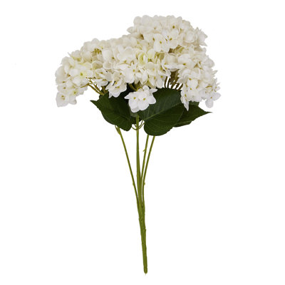 Anastasija Arrangement
