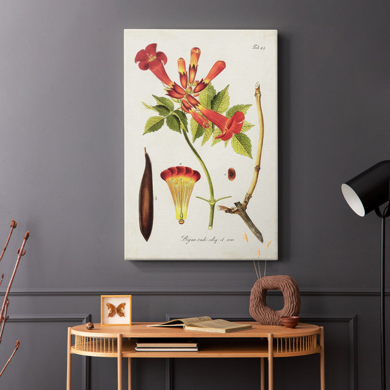 Fleurs tropicales de trompette tropicale I - Cavas enveloppés de galerie, H 18 po x l 12 po
