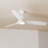 Ballog 52'' Ceiling Fan with LED Lights-342860766