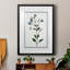 Shabby Elegance Botanical II, reproduction encadrée de qualité supérieure - prête à être accrochée-1427717059-1427717061