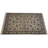Plamedi Oriental Area Rug in Beige