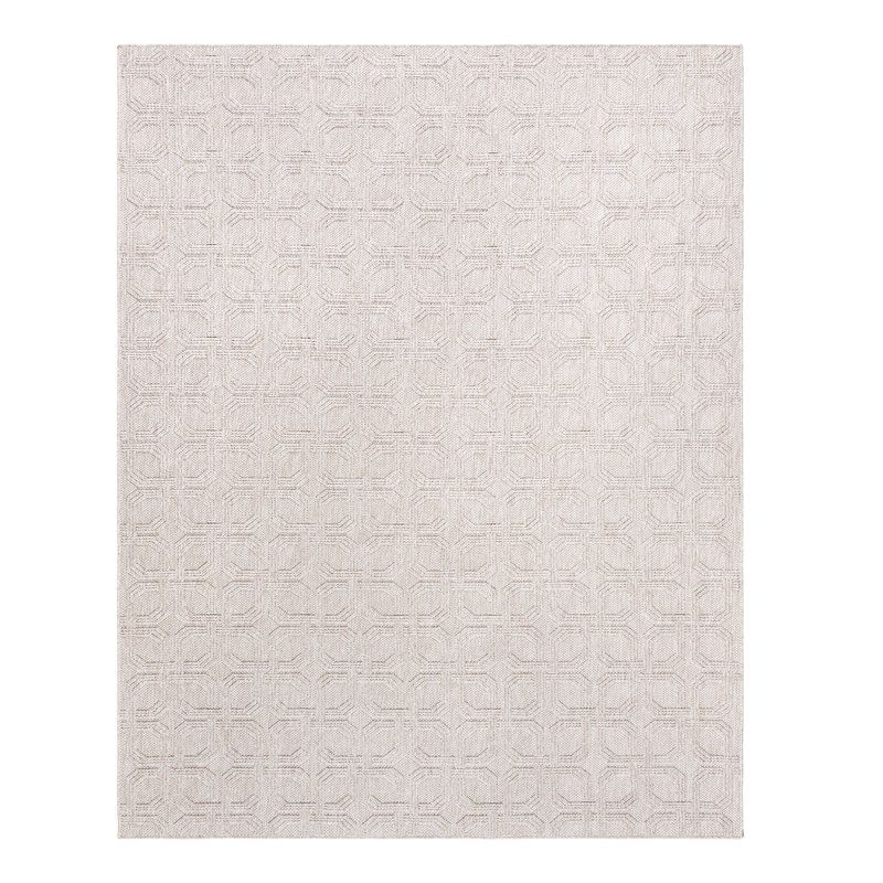 Tapis intérieur / extérieur à poils longs à poils longs et beige, Nylah Haley, Rectangle 6 pi 6 po x 9 pi