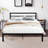 Caprial Metal Platform Bed-344058590