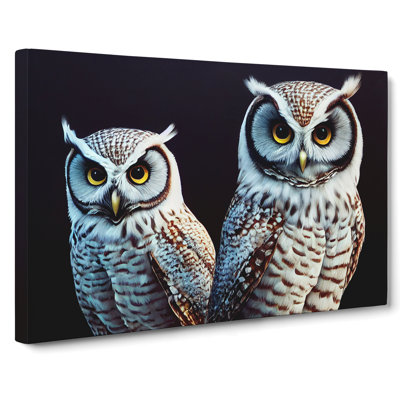 XXX-H1022-WF-6542X Owl Face - Wrapped Canvas Print