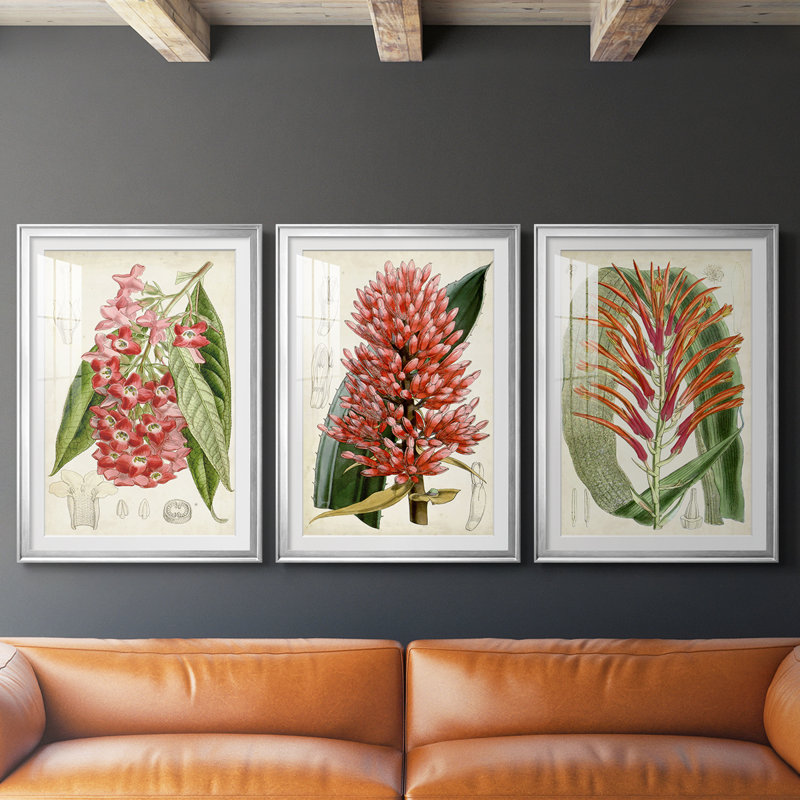 Tropical Gems IV - encadré sur mesure de qualité supérieure avec mat - 3 pièces, Argent argent, H 15 po x l 19 po
