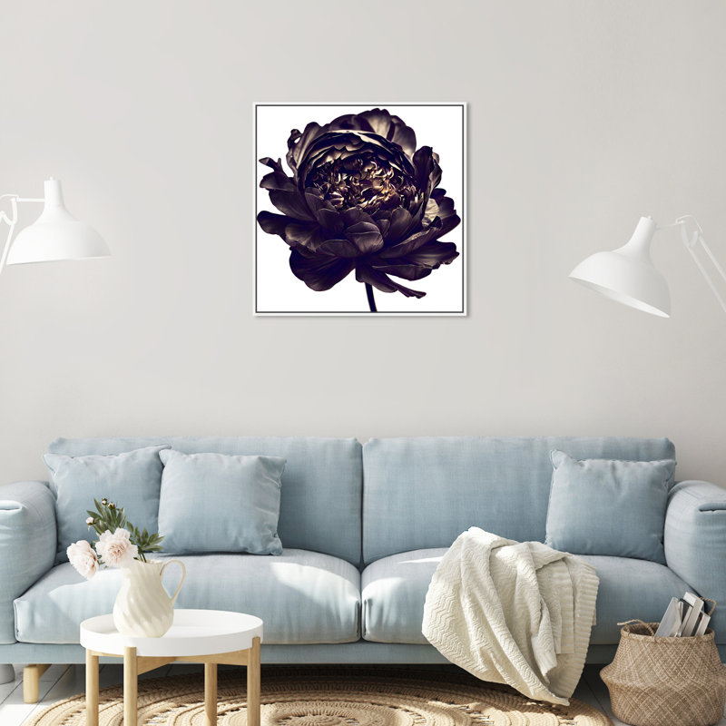 Pivoine noire - Impression sur toile, Cadre blanc, H 25 po x l 25 po