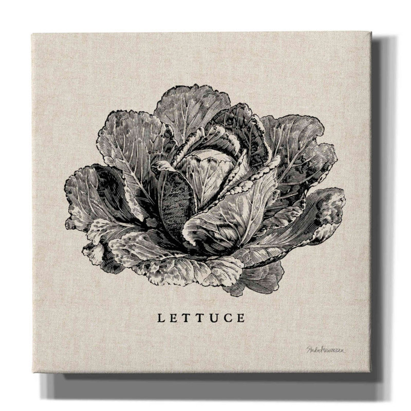 August Grove 'Burlap Vegetable BW Sketch Lettuce' By Studio Mousseau, Giclee Canvas Wall Art, H 37 po x l 37 po x P 1,5 po