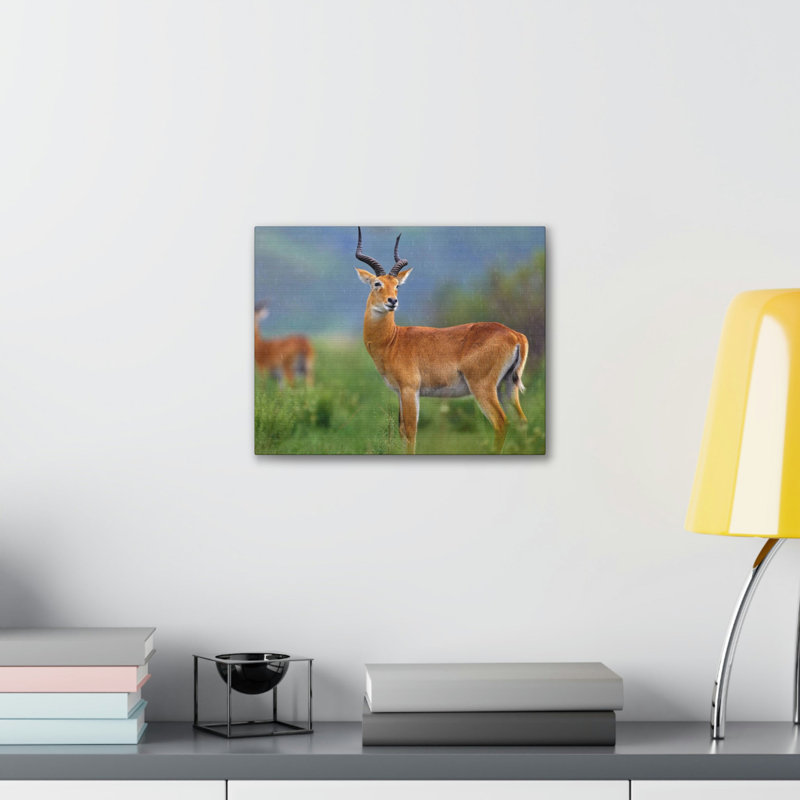 No Frame Print on Canvas, 27.94cm H x 35.56cm W