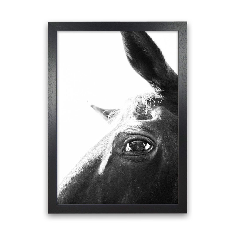 Eye Of The Beholder by Victoria Frost - Print, 46cm H x 34cm W x 3cm D, Black Framed