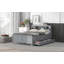 Lit plateforme avec tête de rangement, USB, lit gigogne et 3 tiroirs, gris-1369239503