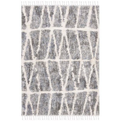 Barker Geometric Hand Woven Area Rug