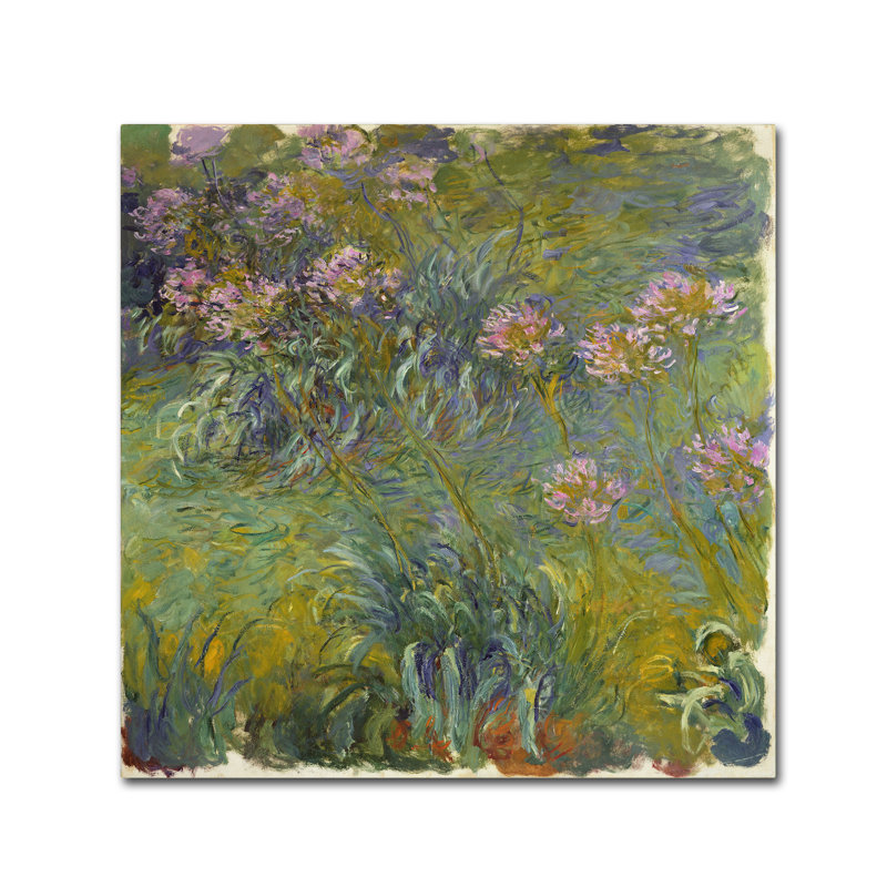 « agapanthus » par claude monet, reproduction sur toile tendue, H 35 po x l 35 po