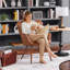 Charlanda Faux Leather Armchair