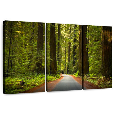 Harnek Redwood Forest Drive
