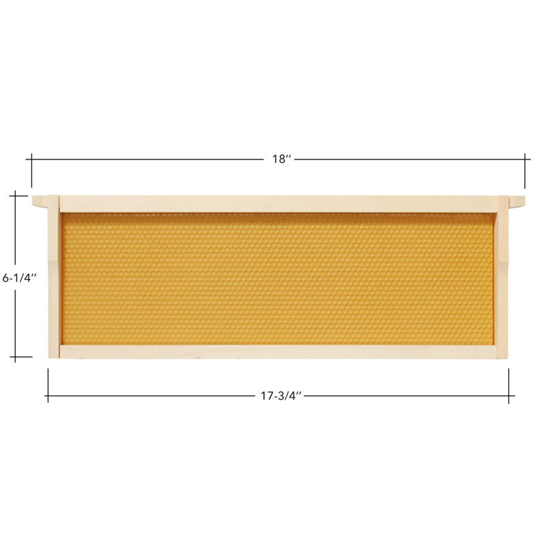 Honey Keeper Assembled Replacement Frames and Foundations for Deep Langstroth Beehive, Waxed