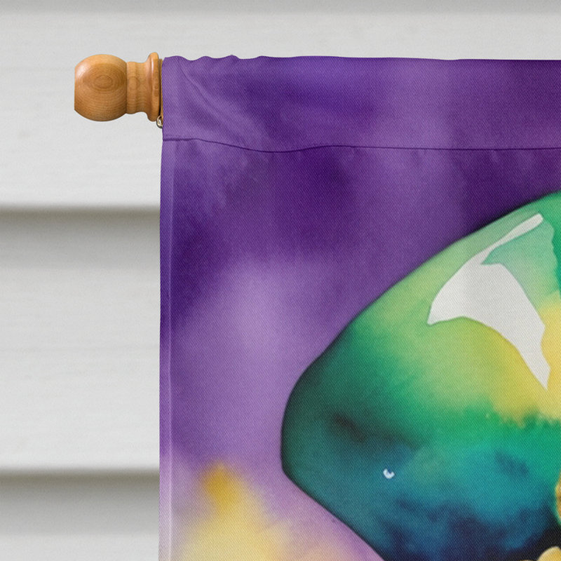 Double Sided 40'' H x 28'' W Polyester Mardi Gras House Flag