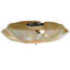 Metro Fusion 3 - Light Flush Mount