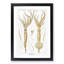 Squid Illustrations by Carl Chun - Picture Frame Painting Print-55619790-55619789