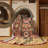 Abstract Indoor Rug-235431678