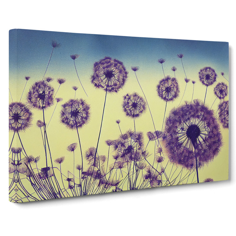 Enticing Dandelion Flowers - Wrapped Canvas Print, 50cm H x 76cm W x 3cm D