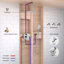 Système de douche circulaire à pression équilibrée à 2 fonctions avec valve brute-94485266