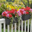 Ensemble de 2 boîtes à fleurs sur rail Railing - boîtes à fleurs de 20,75 pouces avec inserts de drainage amovibles - jardinières extérieures de 6 gallons pour décor de porche, de terrasse ou de balcon, convient aux rails de 3 po à 4 po de Pure Garden (gris)-1897313120-1938908944