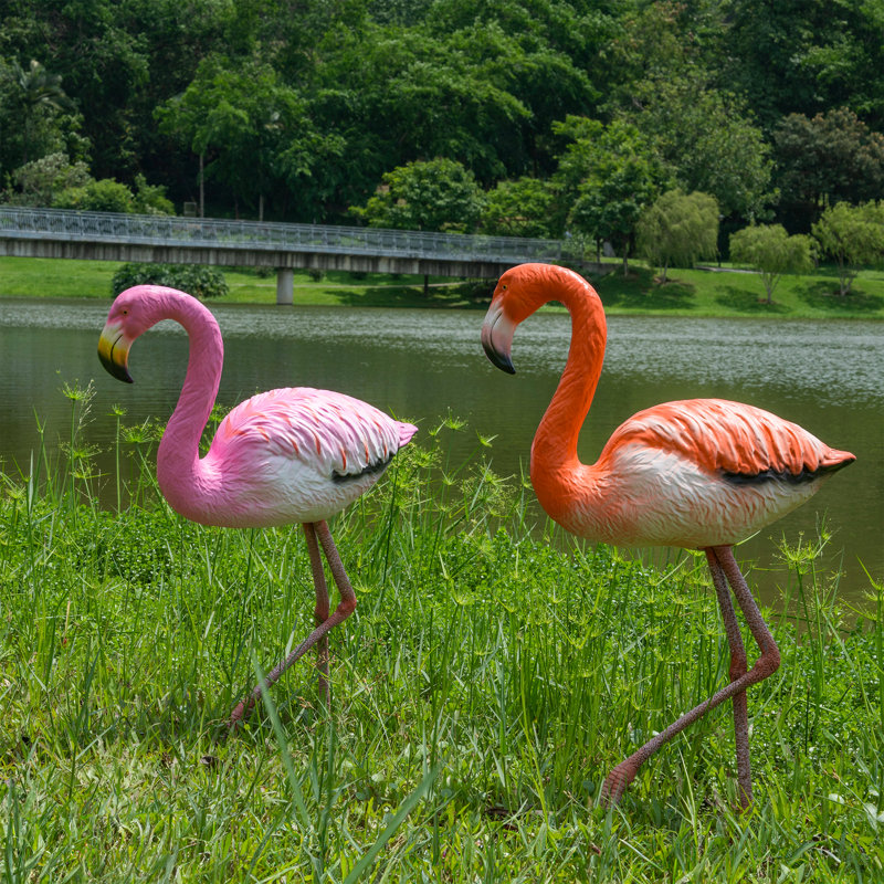 Flamant rose