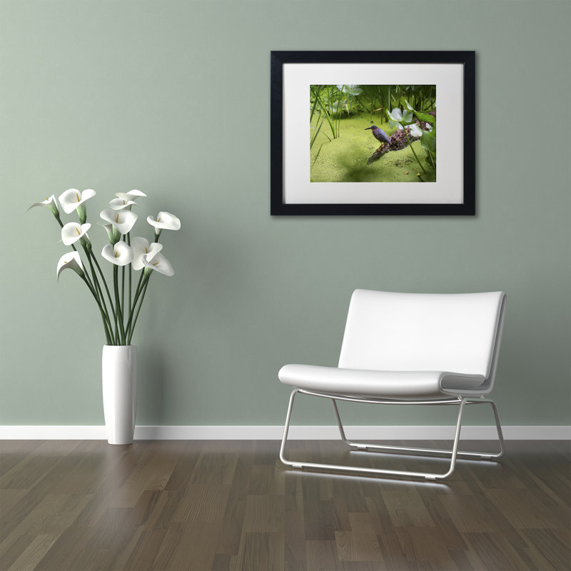 « green héron » par kurt shaffer photographie encadrée sur toile, H 11 po x l 14 po x P 0,5 po