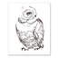 « hibou sketch », reproduction d’art sur toile tendue