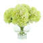 Hydrangea Bouquet-1894723891