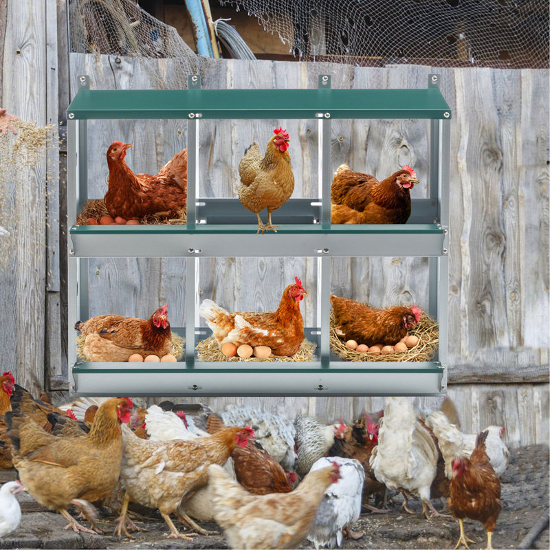 Boîte de nidification pour poulets, 6 nichoirs en métal pour poules, boîtes de nidification pour poules en acier galvanisé, facile à assembler