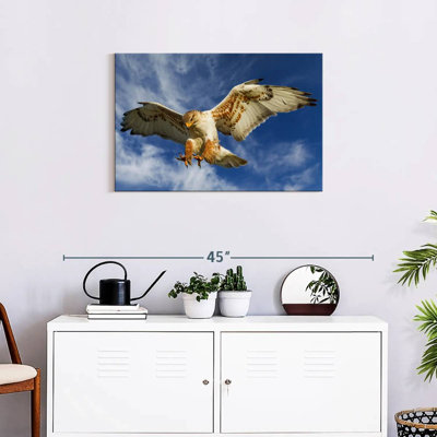 Hawk Attack