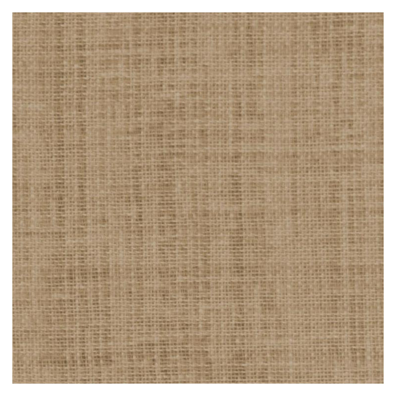 Tissu Shutterspeed, Chamois