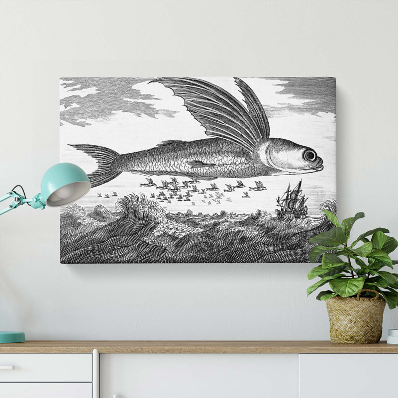 Flying Fish by Thomas Astley - Wrapped Canvas, 40cm H x 60cm W x 3cm D