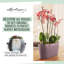 Plant Substrate-55087962