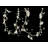 Guajardo 6ft Indoor Battery Powered 20 - Bulb Fairy String Light