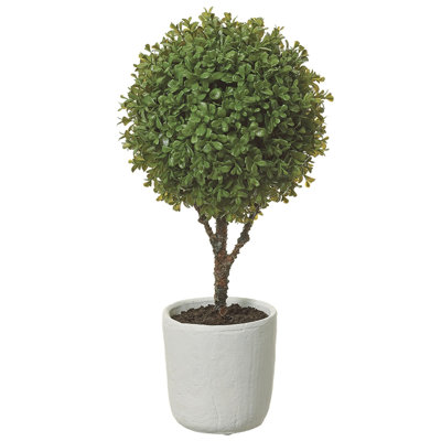 Topiaire 22 "buis en pot d'argile vert