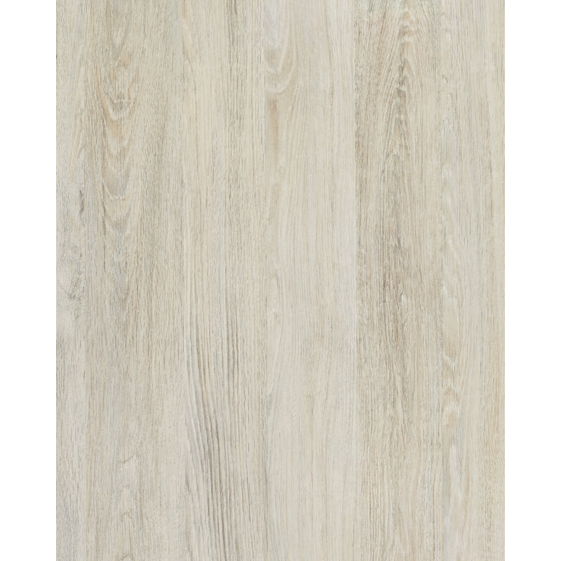 Décalcomanie murale auto-adhésive, Lime, H 26 po x l 78 po