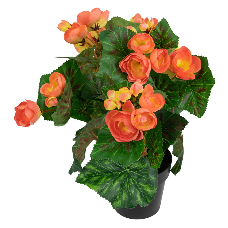 Arrangement floral 11 po, Rose