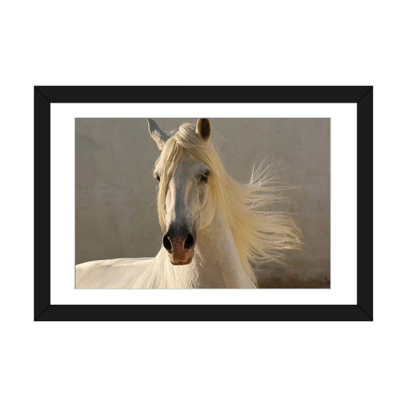 «Elegance» par Tony Stromberg, reproduction de photo sur toile tendue, Papier d'art encadré noir, Blanc