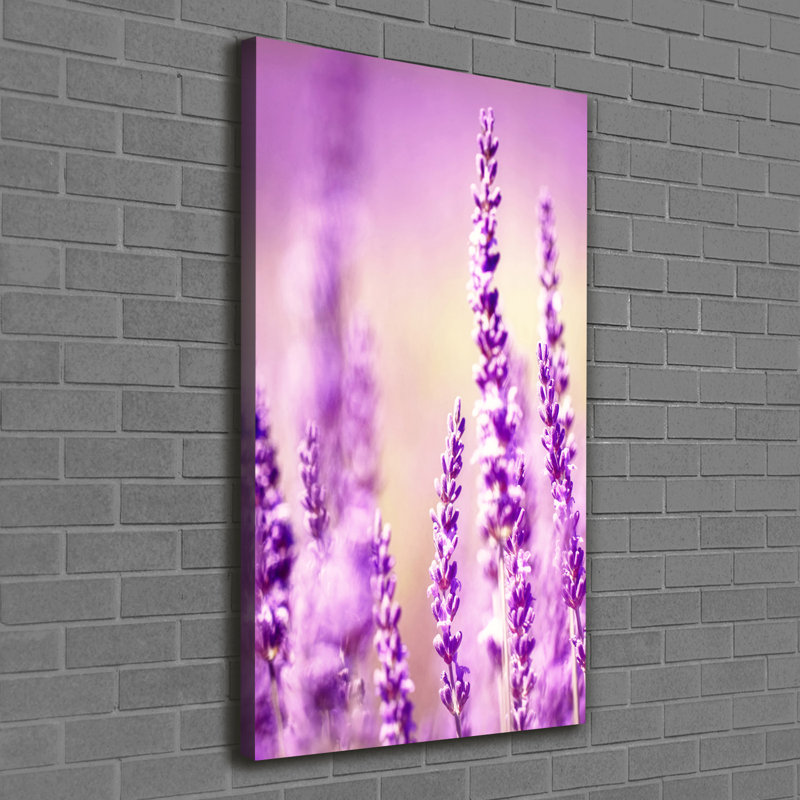 Lavender - Wrapped Canvas Print