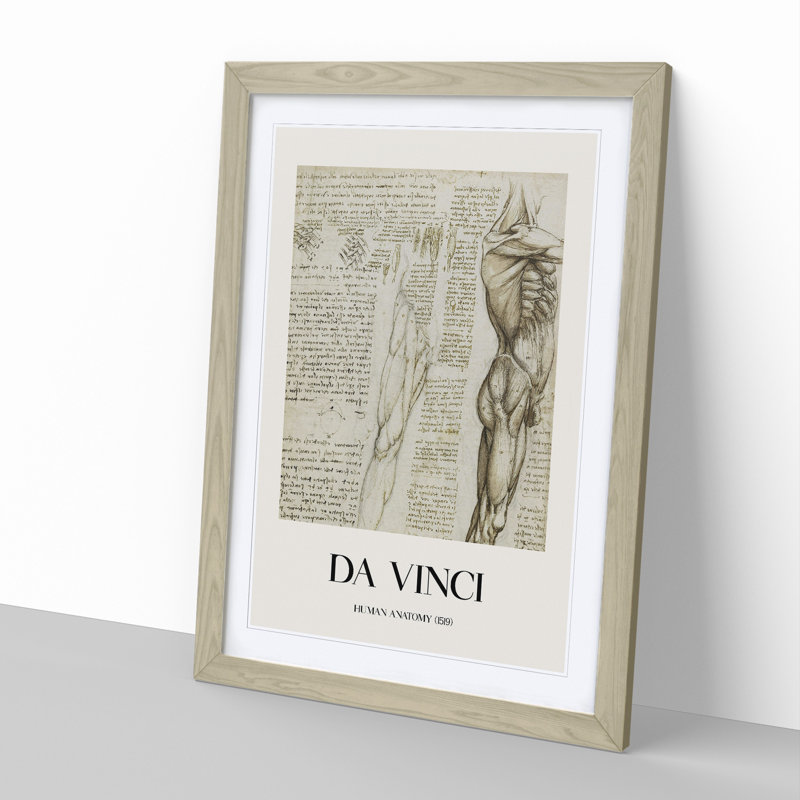 Human Anatomy Vol.6 by Leonardo Da Vinci - Picture Frame Drawing, 36cm H x 27cm W x 2cm D, Oak Framed