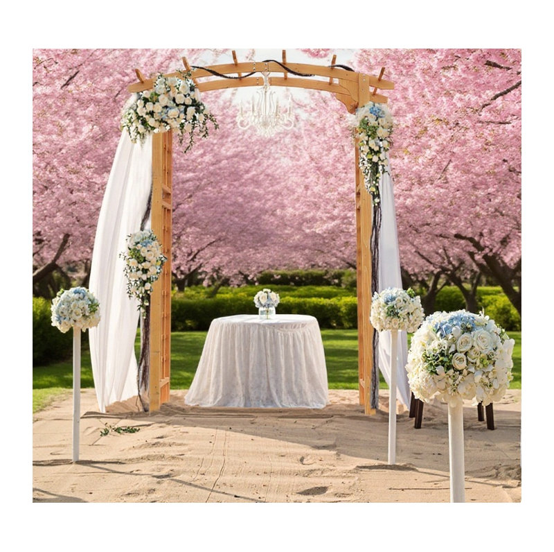 Treillis de jardin en bois de style pergola
